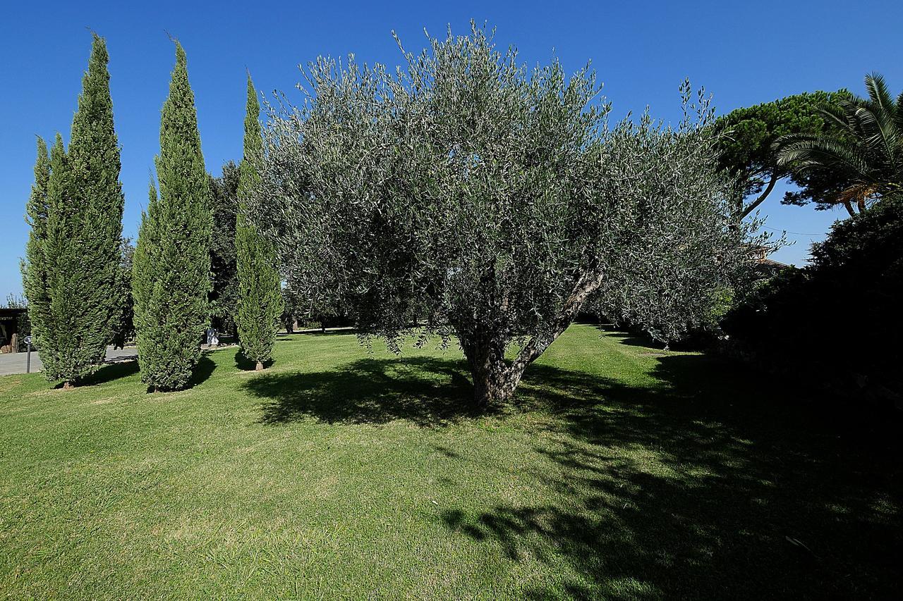 Agriturismo Il Pelago Castagneto Carducci Exteriér fotografie